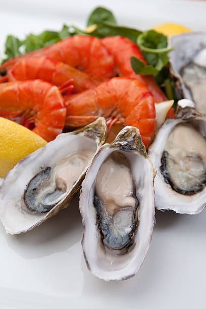 istock Oysters and Shrimp on a white plate 453011843