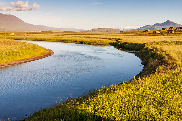 istock Icelandic river in background  varmahlio village. 453015183