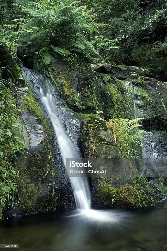 cascata - Foto de stock de Beleza natural - Natureza royalty-free
