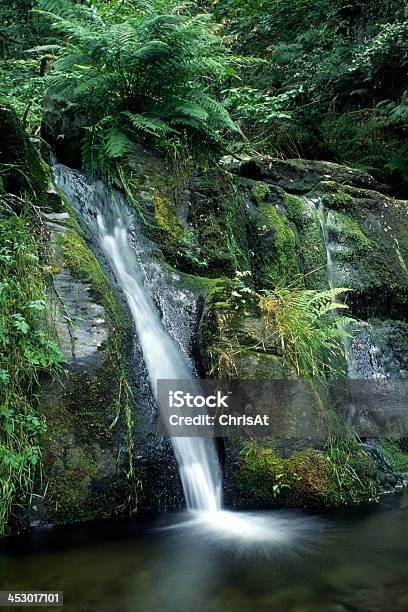 Foto de Cascata e mais fotos de stock de Beleza natural - Natureza - Beleza natural - Natureza, Cascata, Cena de tranquilidade