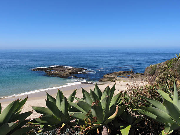 istock Beautiful Laguna Beach, California 453023837