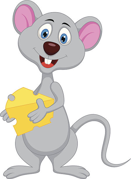 Engraçado rato mulher segurando Queijo - ilustração de arte vetorial