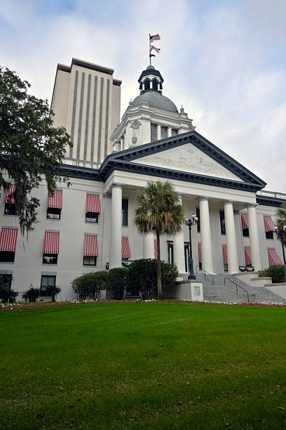 istock State capitol of Florida 453025675