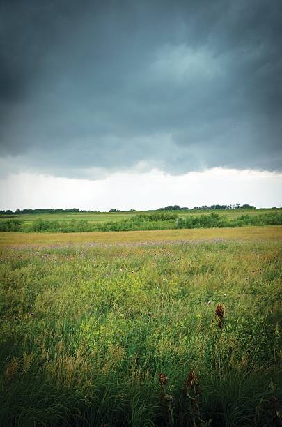 istock Storm clouds appoarching an Iowa praire 453026139