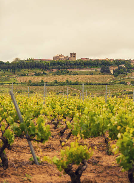 istock La Rioja Wine Country 453026299