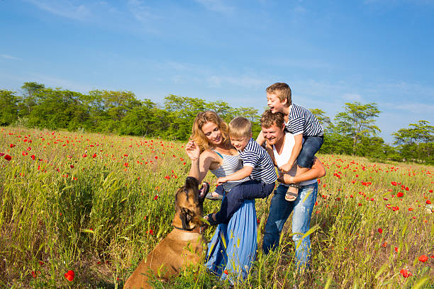 istock Family playing on the meadow 453030583