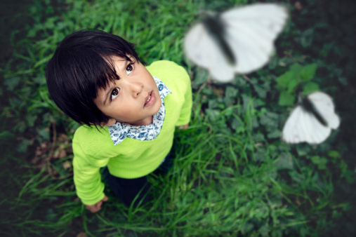 Toddler looking up at butterflies in a forest