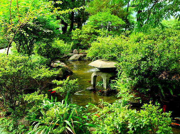 Kyoto, Japan - May 20, 2015: Ninomaru Garden, a traditional Japanese landscape garden with a large pond, ornamental stones and manicured pine trees in the grounds of Nijo Castle in Kyoto Japan