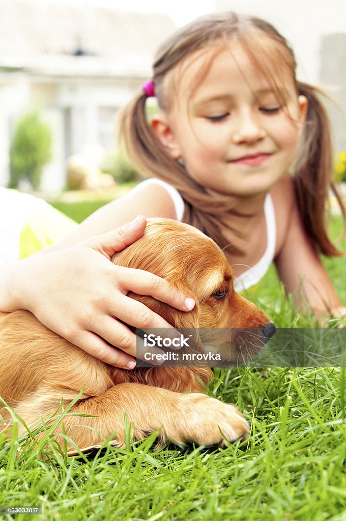 Cute puppy Little girl lying on the grass and stroking her beloved puppy 6-7 Years Stock Photo