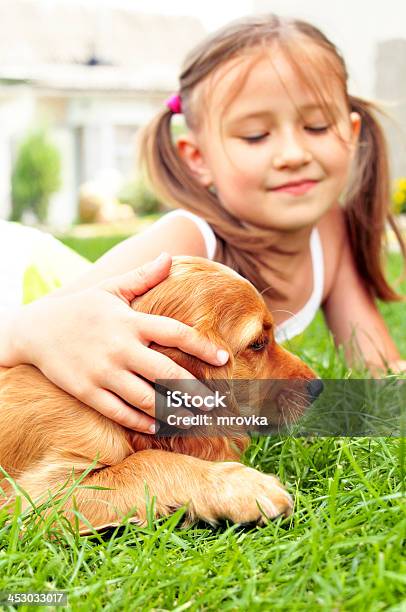 Cute Puppy Stock Photo - Download Image Now - 6-7 Years, Animal, Beauty In Nature