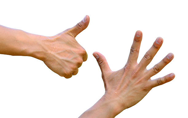 istock Thumb up, five fingers, hands isolated on white background 453033727