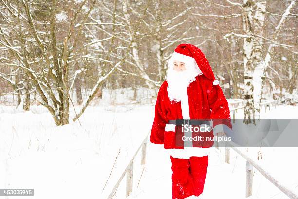 Santa Claus Na Zewnątrz W Śniegu - zdjęcia stockowe i więcej obrazów Biały - Biały, Boże Narodzenie, Czerwony