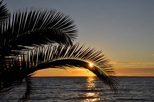 istock Coast of Croatia, sunset 453037673