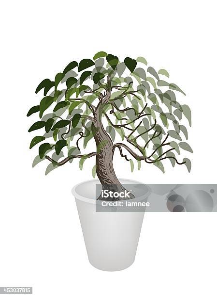 Illustrazione Di Bonsai Albero In Un Vaso Da Fiori - Immagini vettoriali stock e altre immagini di Ficus religiosa - Ficus religiosa, Albero, Albero deciduo