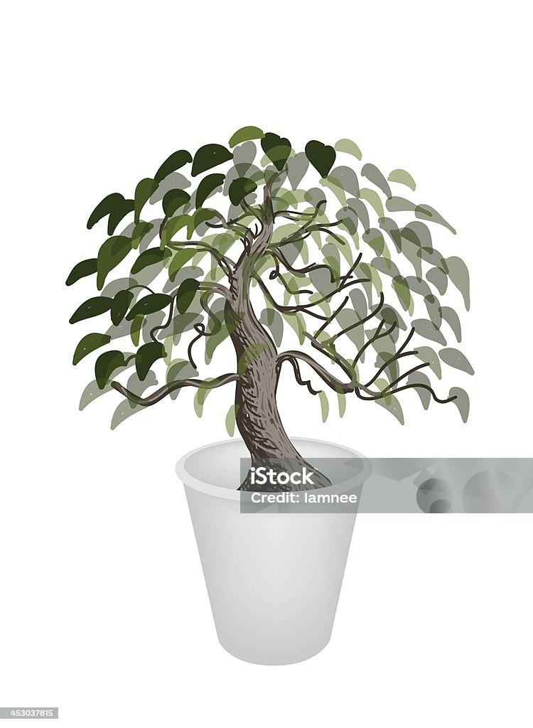 Ilustracja z Drzewo Bonsai w Doniczka - Zbiór ilustracji royalty-free (Figowiec Pagodowy)