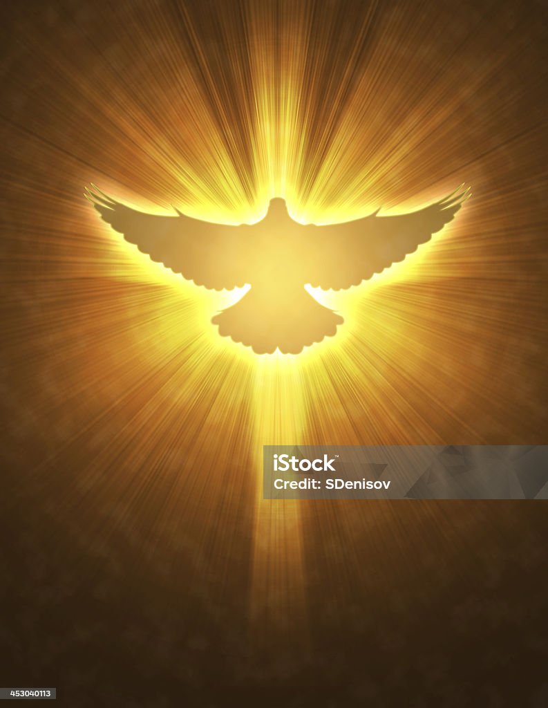 shining dove with rays on a dark shining dove with rays on a dark golden background Bird stock illustration