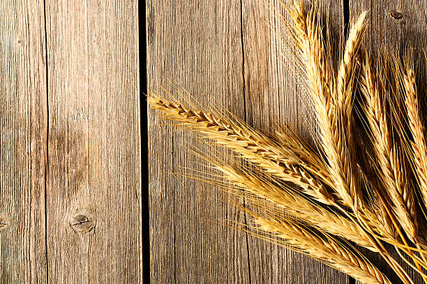 istock Rye spikelets over wooden background 453040217