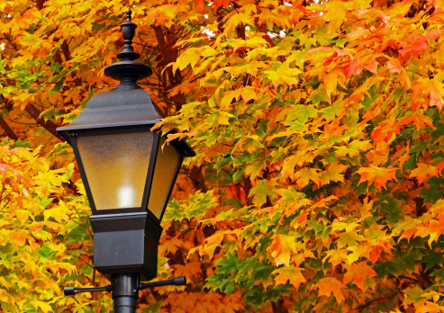 lamp post in fall