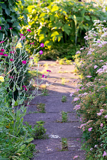 istock Flowers in the Garden 453047131