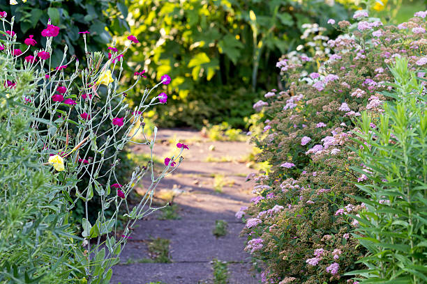 istock Flowers in the Garden 453047133
