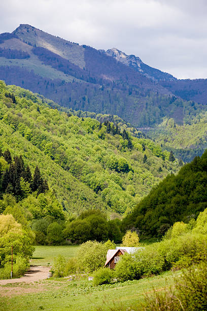 istock Summer landscape with mountains Fatra in Slovakia 453049717