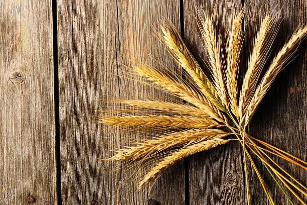 istock Rye spikelets over wooden background 453050645