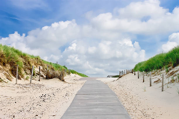 istock Road in dunes to the beach. Netherlands 453051429