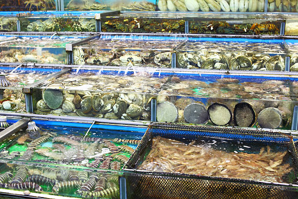 istock fish tank in seafood market 453051995