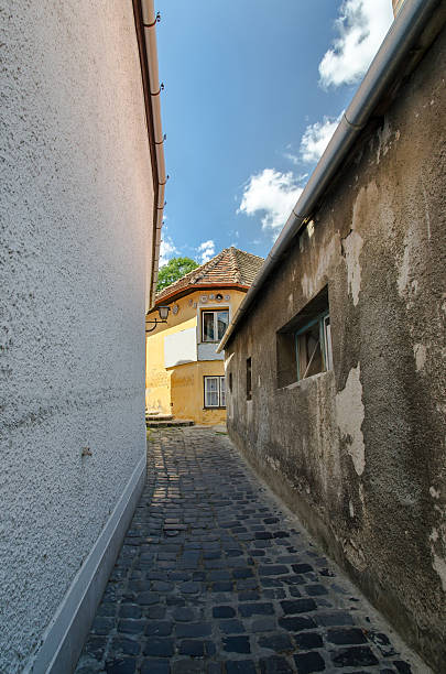 istock Street in village 453054525