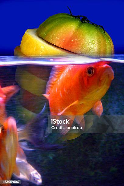 Frutta Galleggiante - Fotografie stock e altre immagini di Acqua - Acqua, Acquario - Prodotti per animali domestici, Affresco