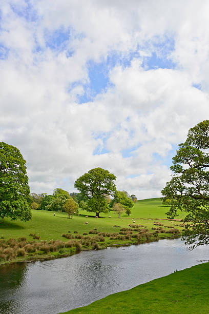 istock Summer Pasture in the British Countryside 453057909