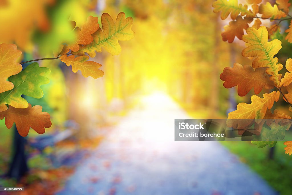 秋の公園 - 背景のロイヤリティフリーストックフォト