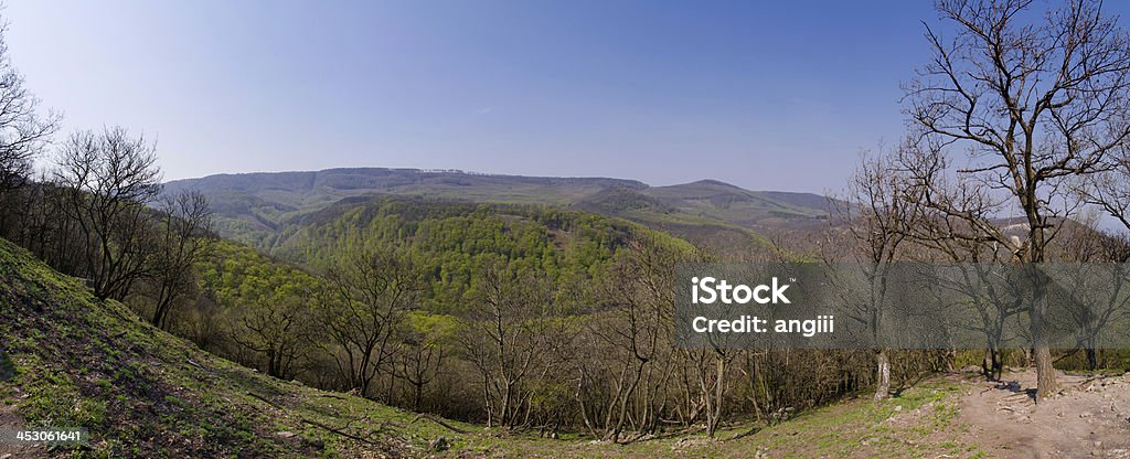 Vue panoramique avec les forêts et montagnes - Photo de Activité libre de droits