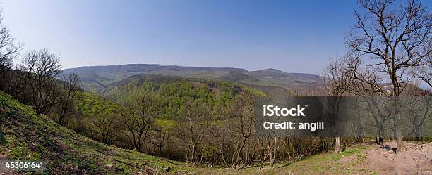 Foto de Vista Panorâmica Com Florestas E Montanhas e mais fotos de stock de Ajardinado - Ajardinado, Atividade, Aventura