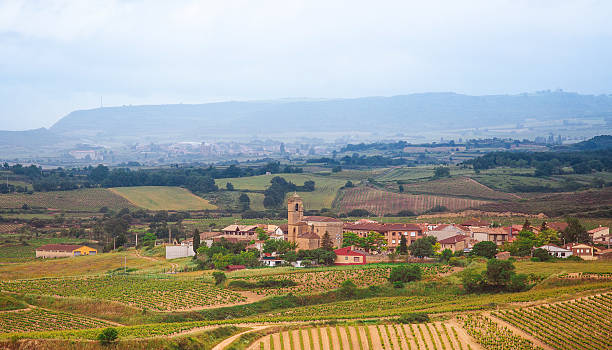 istock La Rioja Wine Country 453061863