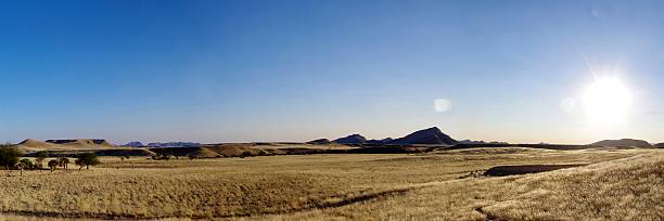istock Panorama of the expansive Namibian Plains 453062359