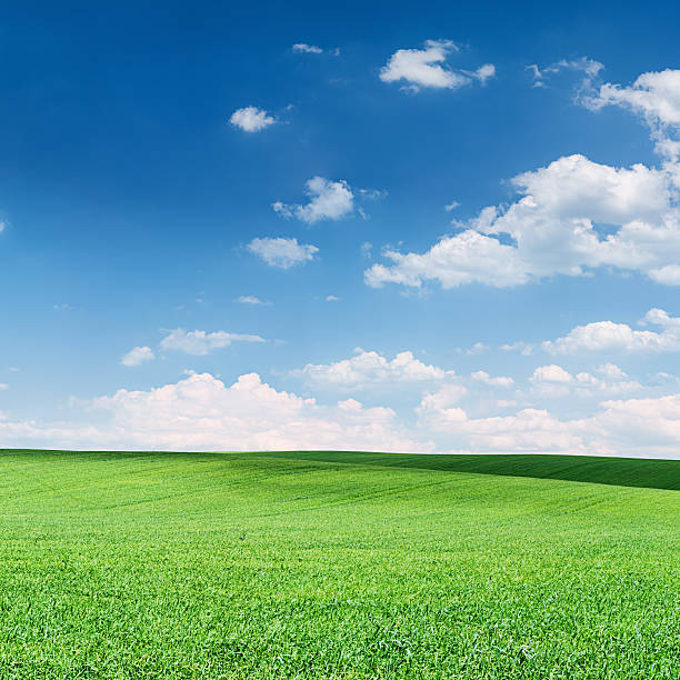 istock Square spring landscape 38MPix XXXXL - meadow, blue sky 453062841