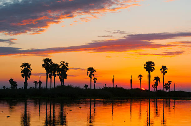istock sunset on the lake manze 453064375