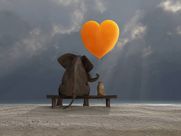 éléphant et chien tenant un ballon en forme de cœur - animal heart photos photos et images de collection