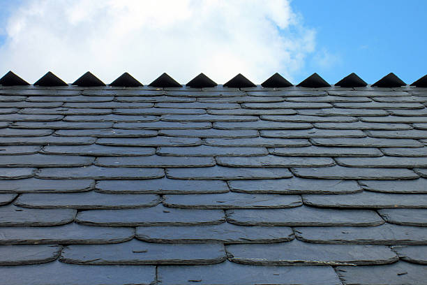 istock Roof tiles 453066107