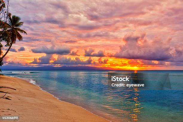 Caribbean Beach Sunset Stock Photo - Download Image Now - Guadeloupe, Sunset, Palm Tree