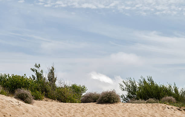 boundary of the public beach in Klaipeda, Lithuania