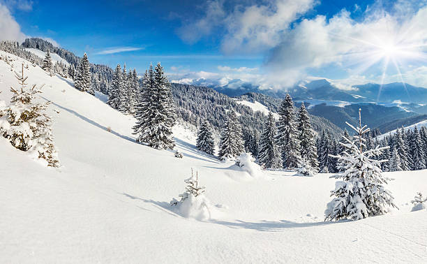 istock Beautiful winter landscape in the Carpathian mountains 453067669