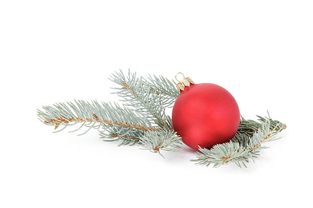 blue spruce twig with christmas ball, isolated on white background