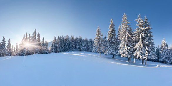 Panorama of the winter morning in the mountains