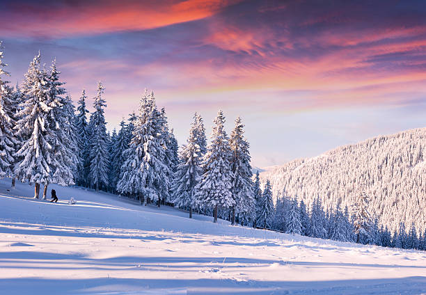 istock Beautiful winter morning with snow covered trees. 453068687