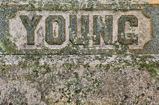 istock Young carved on an old lichen covered marble stone 453069847