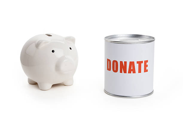 istock Donation Box and Piggy bank 453071201