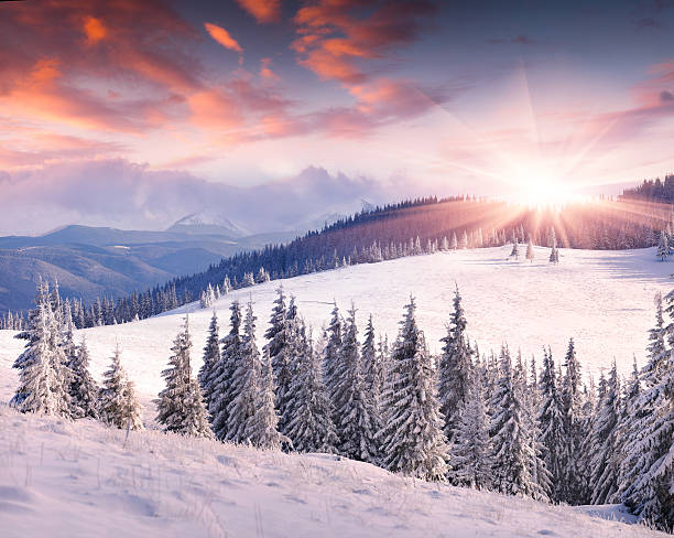 istock Bright sunrise over snowy and forested mountain in winter 453073121