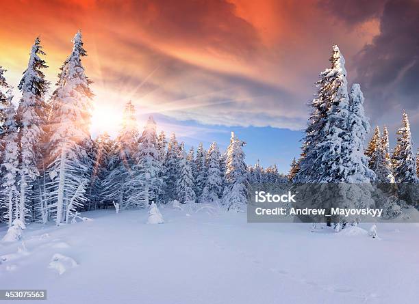 Foto de Belo Nascer Do Sol De Inverno Nas Montanhas Céu Dramático Vermelho e mais fotos de stock de Inverno